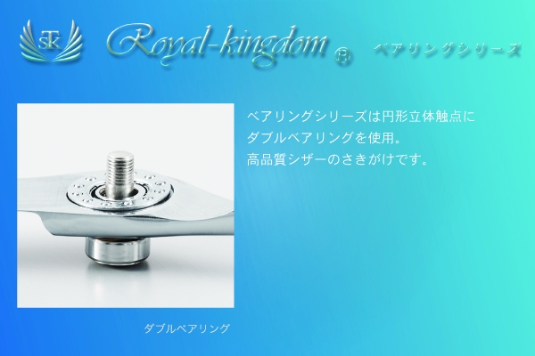 ベアリングシリーズ - Buzip 兵庫の社長.tv